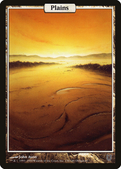 Plains (136) - FULL ART - NM