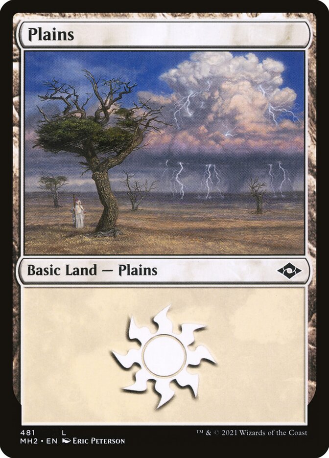Plains (481) (Foil Etched)