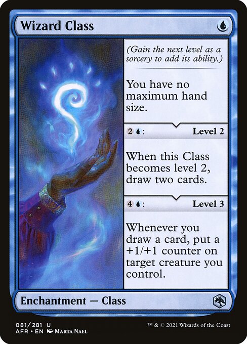 Wizard Class (81) (Foil) - NM