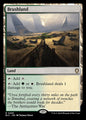 Brushland (295) - NM