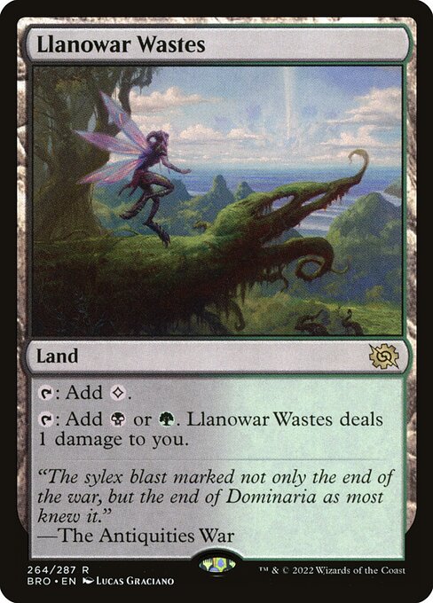 Llanowar Wastes (264) (Foil) - NM