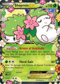 Shaymin EX XY148 (Holofoil) - LP