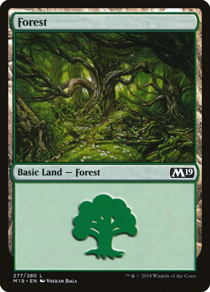 Forest (277)