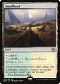 Brushland (259) - NM