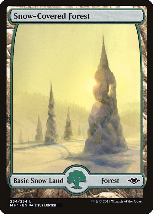 Snow-Covered Forest (254) - FULL ART - NM