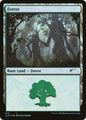 Forest (572)