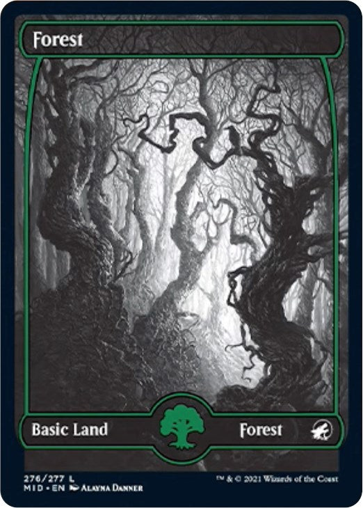 Forest (276) [MID]