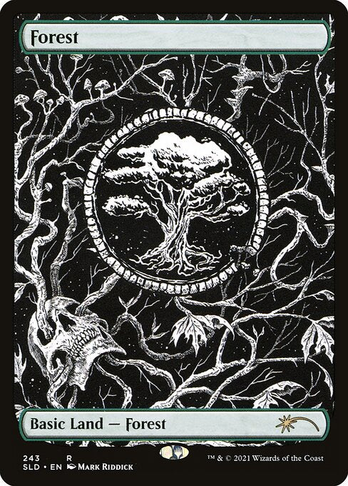 Forest (243) - FULL ART (Foil) - NM