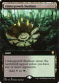 Undergrowth Stadium (714) - EXTENDED ART (Foil) - NM