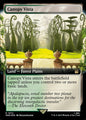 Canopy Vista (1072) - EXTENDED ART (Foil) - NM