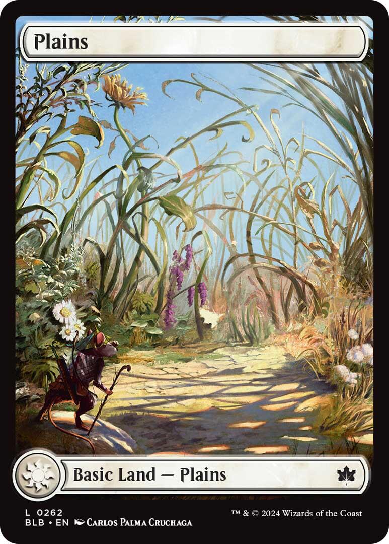 Plains (0262) [BLB - 262]
