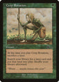 Crop Rotation (98) - LP