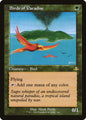 Birds of Paradise (336) - NM