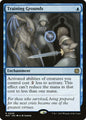Training Grounds (9) (Foil) - NM