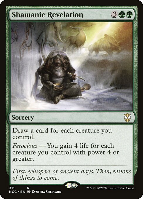 Shamanic Revelation (311) - NM