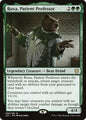 Ruxa, Patient Professor (66) - NM